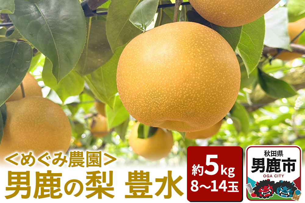 【先行受付】男鹿の梨 豊水 約5kg 8～14玉 梨 秋田県 男鹿市 ＜めぐみ農園＞9月中旬より発送