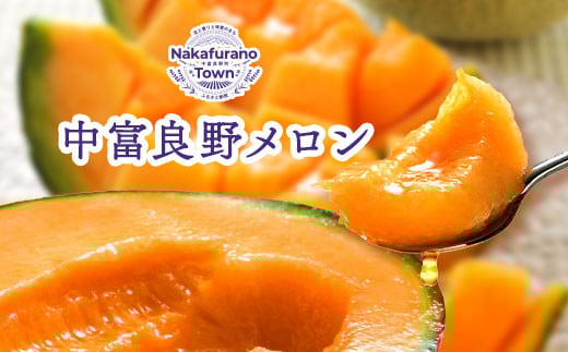 
            【2025年発送】【鈴和産】遠藤ファームの中富良野メロン　8kg（3～6玉）
          