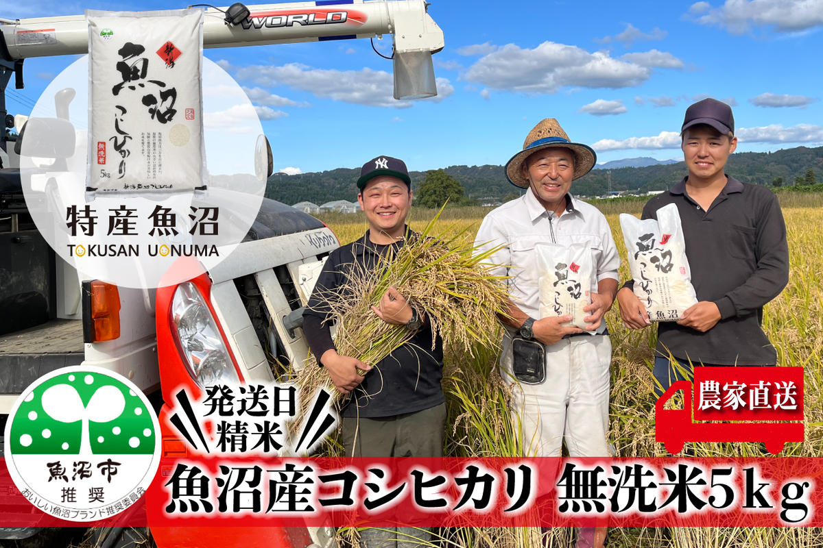 令和6年産 農家直送！ 魚沼産 コシヒカリ 無洗米 5kg （ 米 こしひかり お米 こめ コメ 魚沼産コシヒカリ 魚沼 新潟 魚沼産こしひかり おこめ 白米 精米 ）