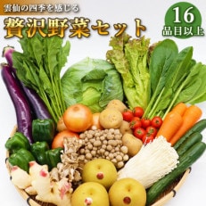 贅沢野菜セット どっさり16品目以上 季節の野菜・フルーツ・キノコを詰め合わせ