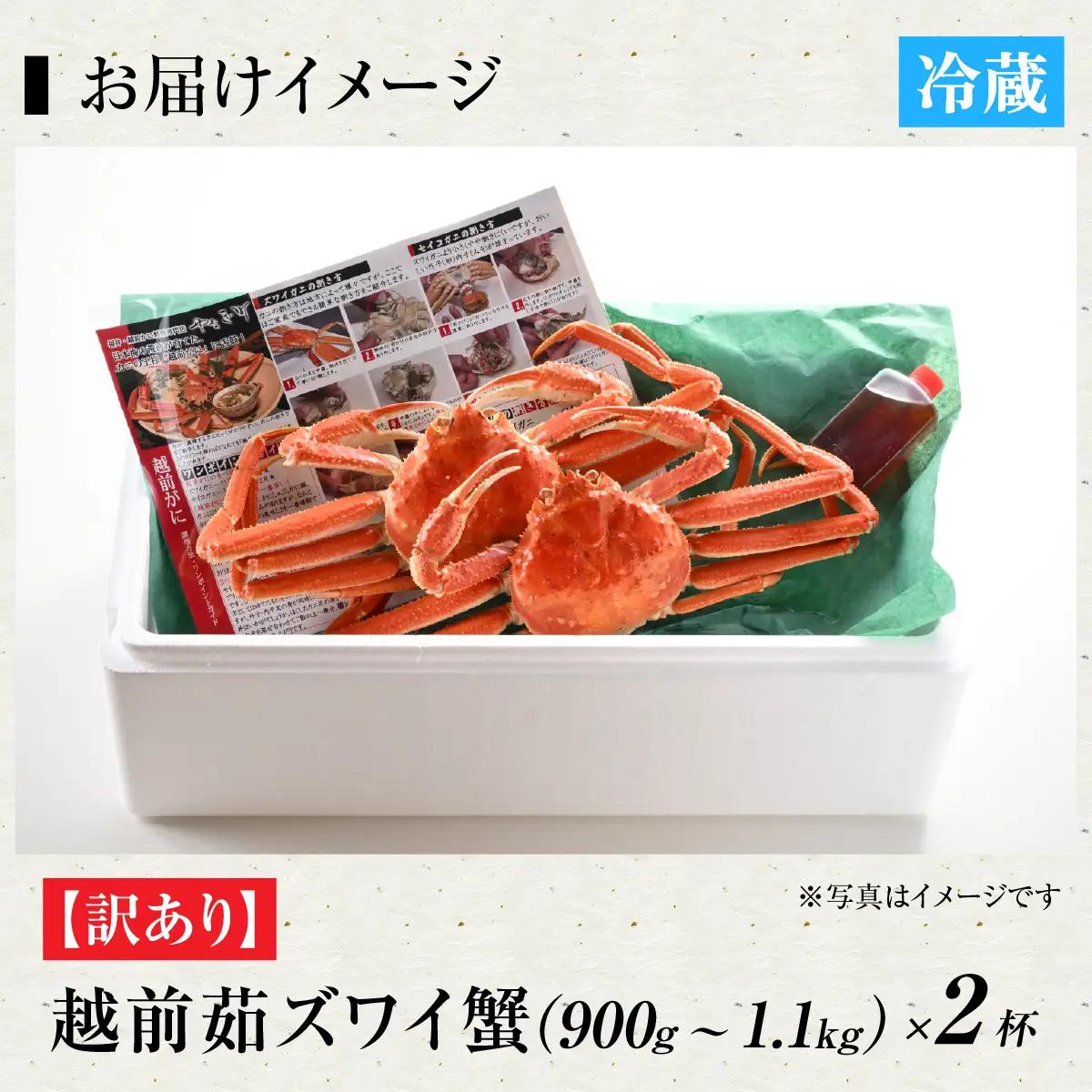 【先行予約】[捌き済選択可][到着日指定可]【訳あり】蟹好きが唸る老舗カニ料理店の越前茹ズワイ蟹 大サイズ(900g～1.1ｋg)2杯【11月中旬より順次発送】 [J-085030] / ｽﾞﾜｲｶﾞ