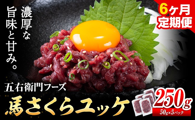 
                  馬肉 馬さくらユッケ 50g × 5パック 1.5kg 6ヶ月定期便 五右衛門フーズ 《お申込み翌月から出荷》 熊本県 球磨郡 山江村 馬肉 肉 国産 馬 さくら ユッケ 小分け 送料無料
                