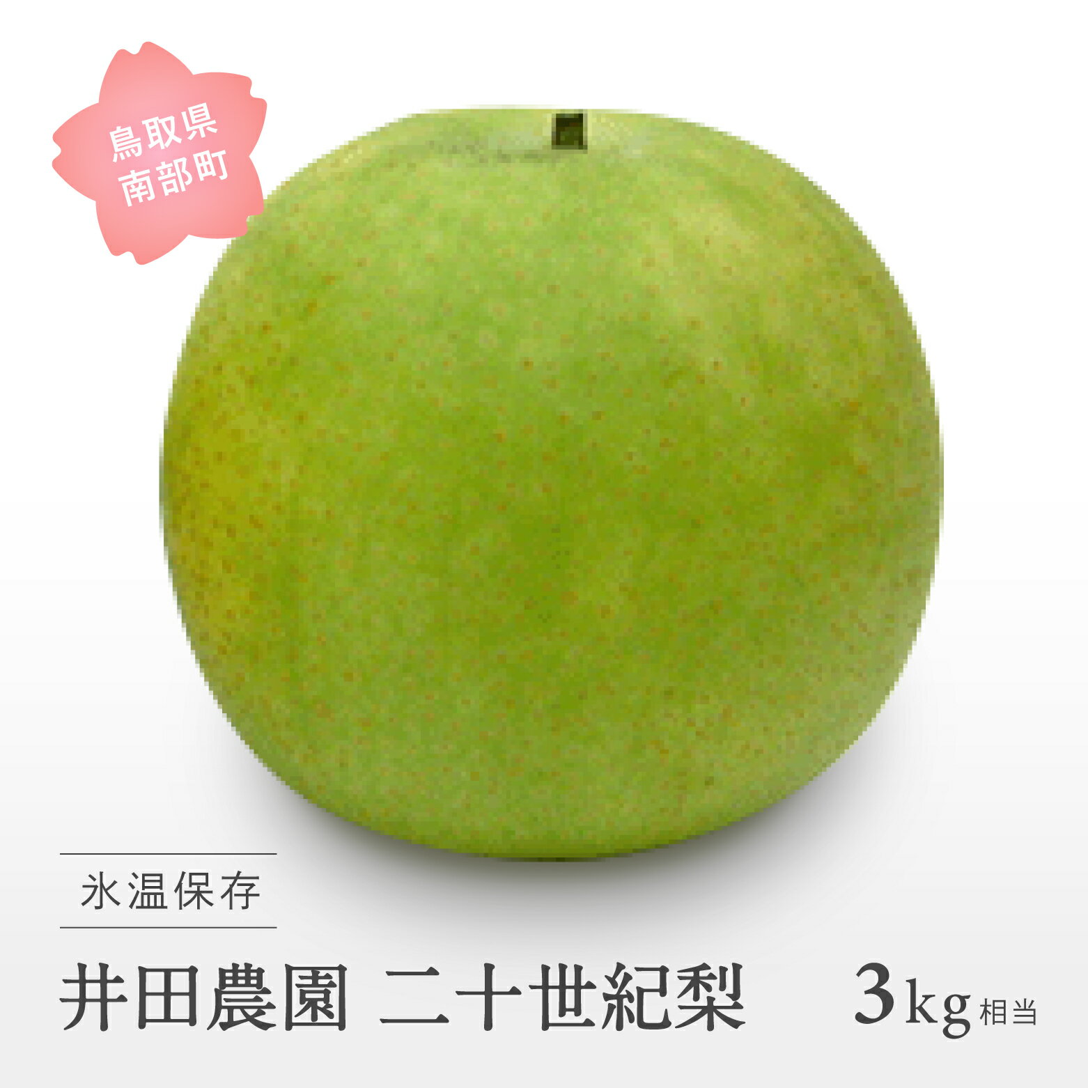 【ふるさと納税】鳥取県南部町産 井田農園の二十世紀梨（3kg箱）＜8月下旬～出荷予定＞ 梨 なし 二十世紀梨 鳥取県南部町