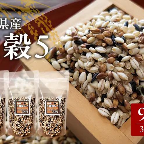 五穀米 雑穀 佐賀県産 五つ星お米マイスター監修 五穀米【300g×3袋 計900g】