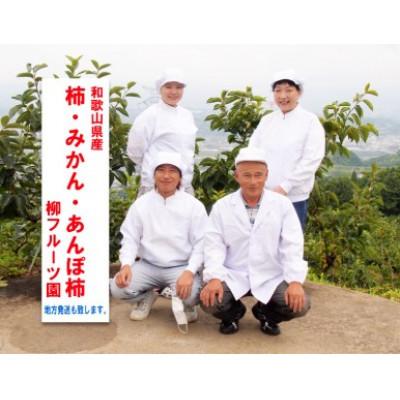 ふるさと納税 橋本市 柳フルーツ園の富有柿 約2kg【2025年冬配送】 |  | 03