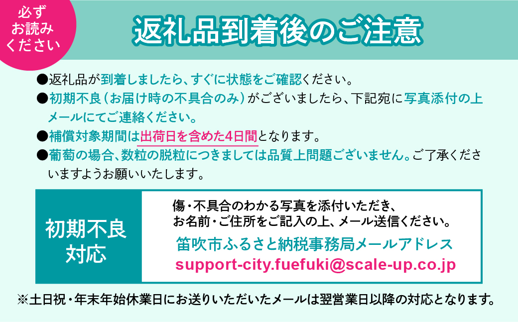 【定期便】【2026年発送★先行予約】 旬のフルーツ3回定期便（桃・ブラックビート・シャインマスカット） 227-017-03-26y
