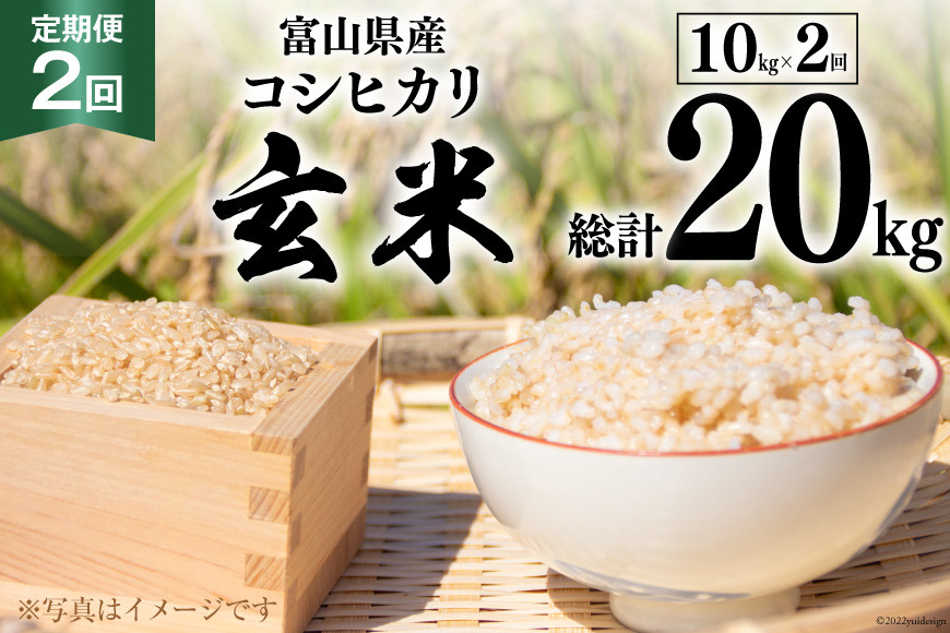 
2回 定期便 米 コシヒカリ 玄米 10kg ×2回 総計 20kg [アグリ金山 富山県 朝日町 34310432] お米 美味しい こしひかり ご飯 ごはん 富山県産 数量限定 農家 直送
