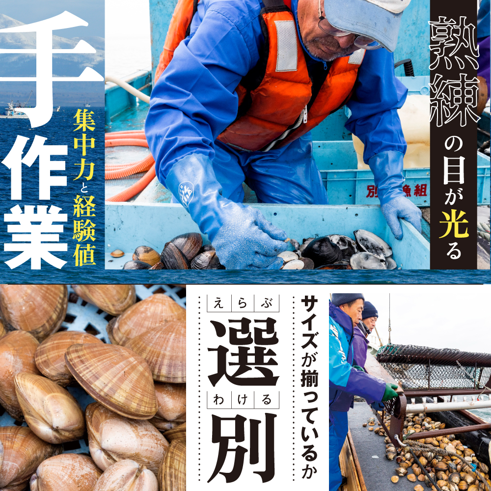 天然ボイルほっき貝 1kg 24粒前後 北海道野付産 【NK000NV00】