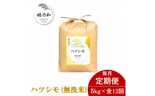 ＜発送月固定定期便＞＜先行予約＞岐阜県産ハツシモ(無洗米)5kg 毎月定期便全12回【4056052】