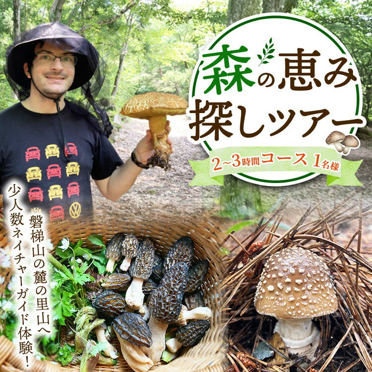 【ふるさと納税】森の恵み探しツアー