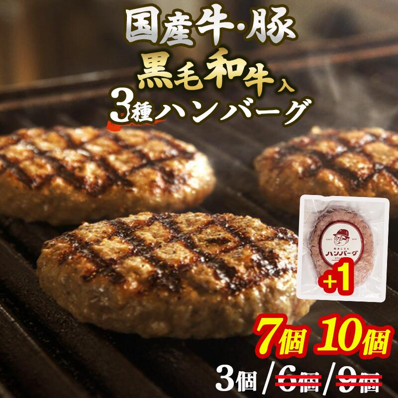 【ふるさと納税】 レビューキャンペーン開催中！ 格之進 生ハンバーグ 金格 黒格 白格 3種 食べ比べセット ( 選べる 3個 6個 9個 セット ) あはハンバーグ×1無添加 肉汁 塩麹 牛肉 豚肉 白金豚 国産 高評価 贈答用 ギフト 子供 人気 おすすめ 岩手県 一関市