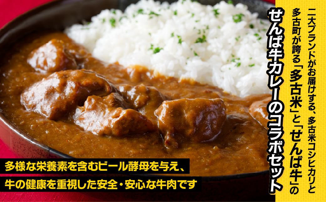 ご飯にはやっぱりカレー!「多古米コシヒカリ2kg」と「せんば牛カレー200g×5」セット【配送不可地域：離島】 TAKF023
