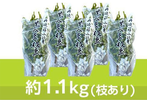 【10月中旬発送】丹波黒枝豆1.1kg×5(枝あり)