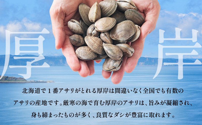 2月発送 北海道 厚岸産 訳あり 活あさり 500g  アサリ 魚貝 海鮮 大粒 美味しい 栄養 旨み 砂出し 水洗い 冷蔵 冷凍保存可能 便利