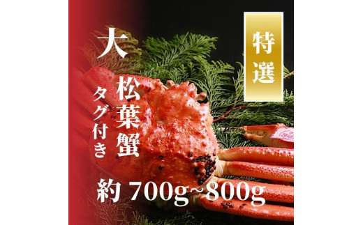 
                  【特選】松葉ガニ 大サイズ 約700g～800g タグ付(茹で)
                