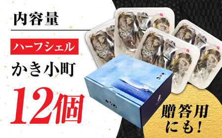 広島牡蠣の老舗！安心・安全の新鮮牡蠣【生牡蠣】牡蠣 かき 殻付き 開殻 夏のかき ハーフシェル『かき小町』12個入 生食用 魚介類 海鮮 広島県産 江田島市/株式会社かなわ[XBP013]