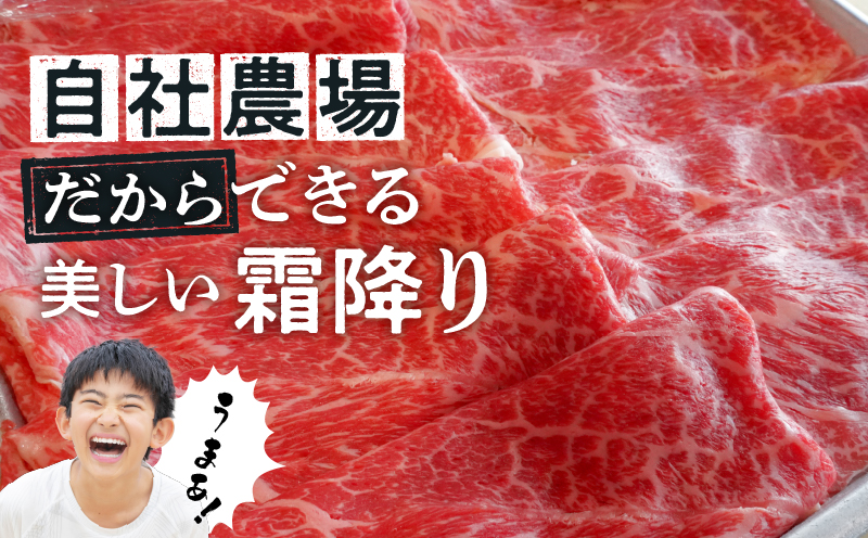 国産 牛肉 切り落とし400g 小分け (200g×2) 冷凍 真空 パック 小間切れ 牛丼 カレー 便利 お取り寄せ グルメ 食品 すき焼き しゃぶしゃぶ 鍋 焼肉 鉄板焼 おすすめ ギフト プレゼ