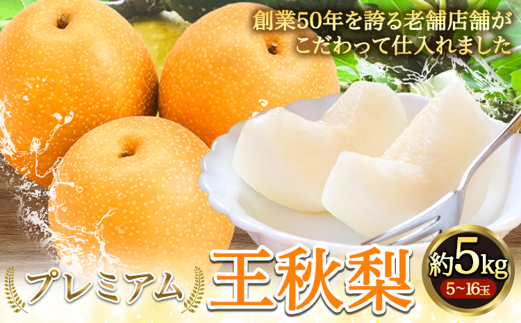 【2025年先行予約】プレミアム 王秋梨 約5kg (5~16玉) 高間商店《2025年10月下旬から2026年1月中旬頃出荷》鳥取県 八頭町 梨 なし ナシ 果物 フルーツ 厳選 先行予約 ふるさと納税 返礼品 国産 高間商店 甘い 王秋梨 高糖度