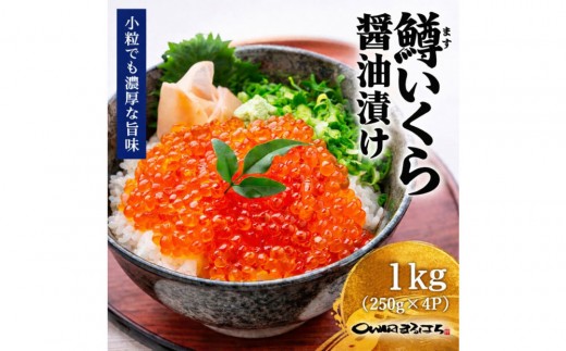 
                  いくら 醤油漬け 1kg (250gx4P) 鱒の卵 冷凍 尾張まるはち
                