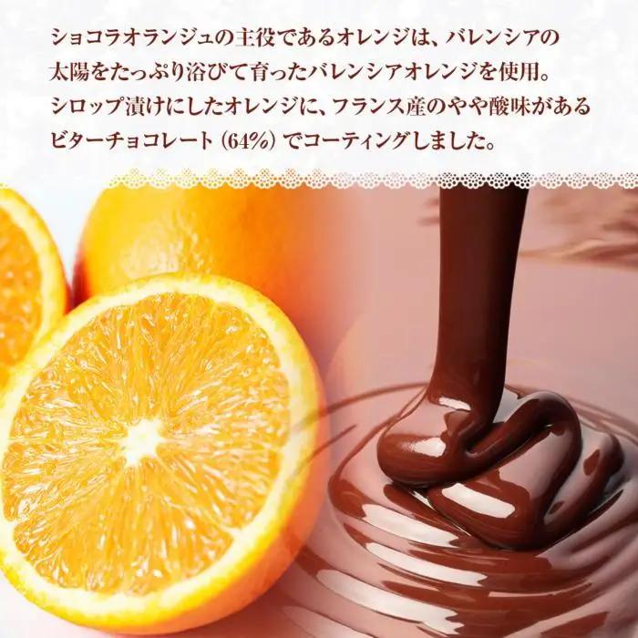 無地熨斗 ショコラオランジュ 計5枚 チョコレート ビターチョコ ショコラ オレンジ オランジュ コーティング 洋菓子 お菓子 菓子 手土産 スイーツ 贈り物 ギフト 熨斗 のし 贈答用 新潟県 南魚