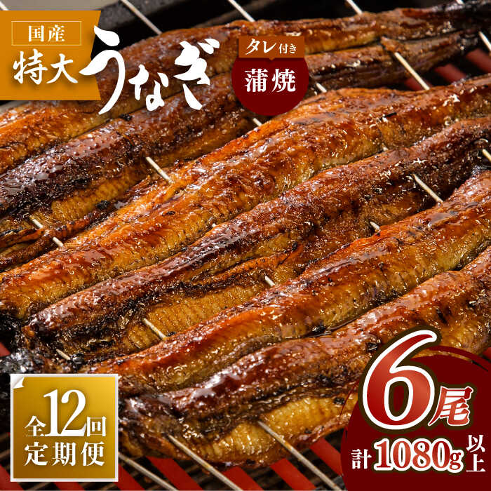 【12回定期便】板前こだわりの国産うなぎ蒲焼 6枚セット×12回【丸安】 [FAD016]