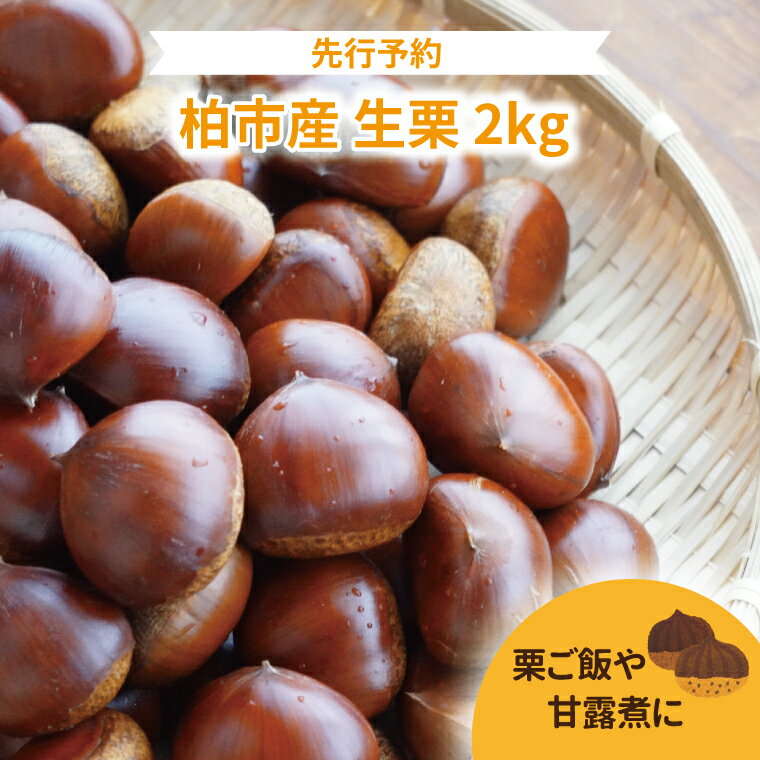 【ふるさと納税】 栗 生栗 2kg 旬 国産 産地直送 千葉県産 柏市産 和栗 おいしい 新鮮 秋 おすすめ 大量 果物 フルーツ マロン くり 栗ごはん 栗ご飯 栗きんとん 焼き栗 正月 おせち 季節限定