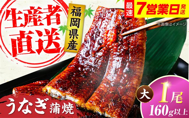 福岡県産 うなぎ 蒲焼 大1尾 160g以上《豊前市》【福岡養鰻】[VAD036] 国産 鰻 ウナギ かばやき タレ 人気 九州産