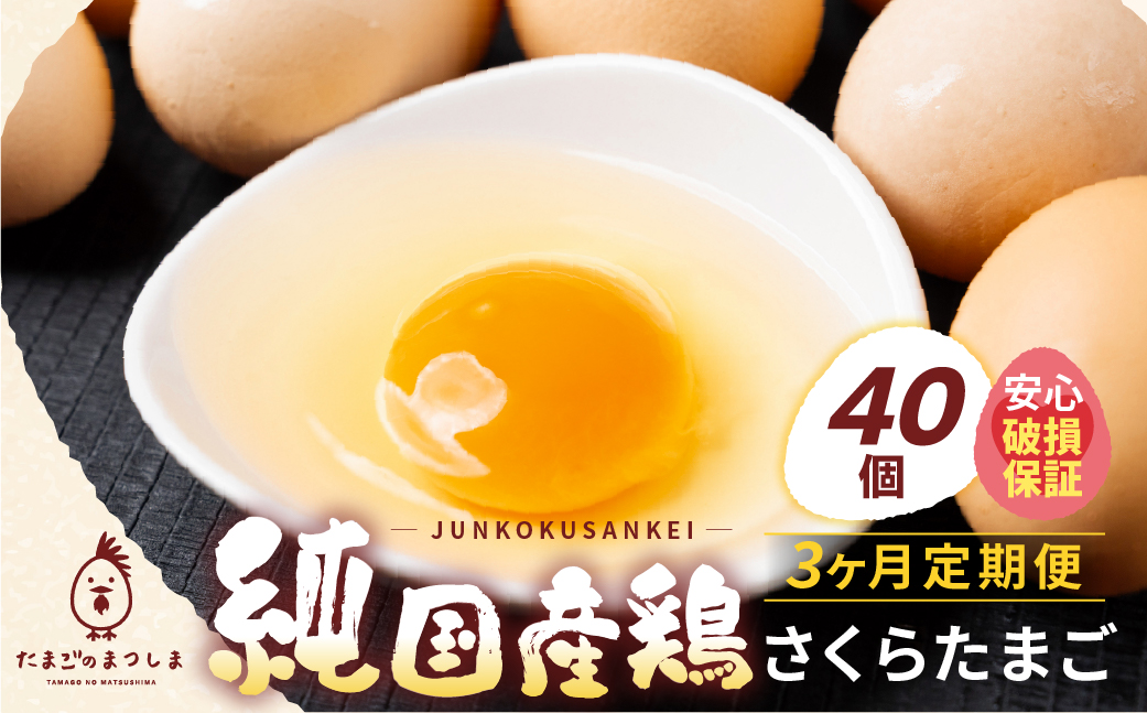 【定期便3ヶ月】40個 新鮮 特選 さくらたまご 3ヶ月 パック数 回数 3回 新鮮な卵 (発送当日・または前日に採れた卵) 安心 安全 対応 破損 割れ保障 保証付 安心対応 サポート 里山 たまご タマゴ 卵 玉子 にわとり ニワトリ 鶏 産直 産地直送 国産 高評価 高レビュー 松島飼料店 岐阜県 大垣市