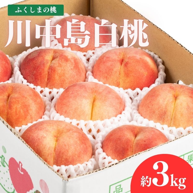 【ふるさと納税】No.2153福島のもも　川中島白桃　約3kg【2026年発送 先行予約】