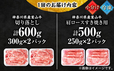 【全6回定期便】葉山牛満腹セット（肩ロースすき焼用250g×2＋切落し300g×2）【株式会社羽根】[AKAG043]