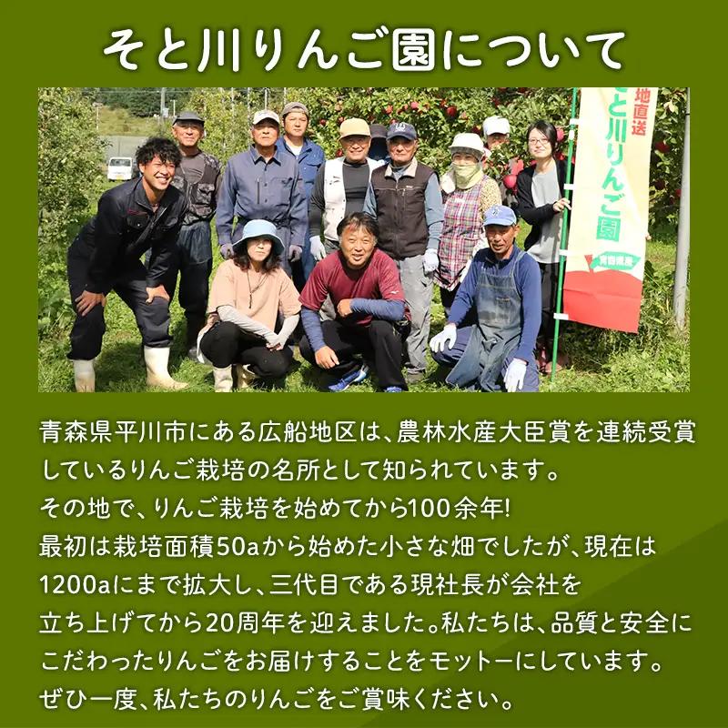 りんご 家庭用 美丘10kg りんご