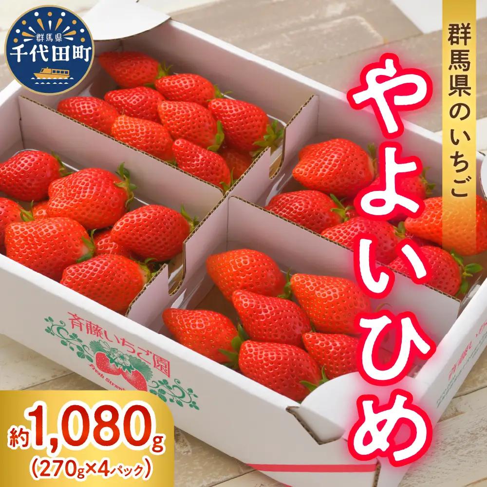 【クール便】2027年4月発送 いちご やよいひめ 約270g×4