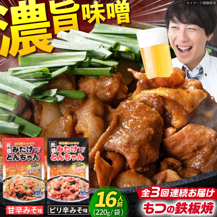 【ふるさと納税】【3回定期便】岐阜県産豚もつの鉄板焼き「元祖みたけとんちゃん」2種セット（16人前） / モツ もつ 白もつ ホルモン / 岐阜県 御嵩町 / 藤よし [AVAA015]