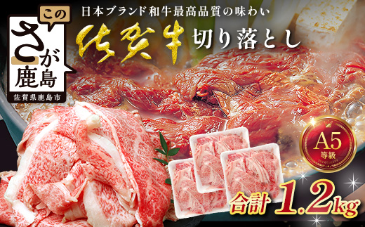 【訳あり】佐賀牛 切り落とし 1.2kg 牛肉 ブランド牛 切り落とし 訳アリ 小分け 冷凍 すき焼き しゃぶしゃぶ C-194