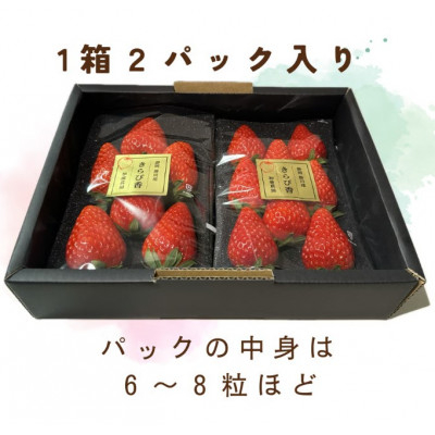
                  ＜2027年先行受付＞いちご＜きらぴ香＞1箱 (1箱2パック入り 約250g×2)_いちご 苺 イチゴ きらぴ香 果物 くだもの フルーツ デザート 産直 産地直送 静岡県 掛川市 ギフト プレゼント 送料無料【1634076】
                