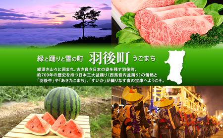 【返礼品なし】秋田県羽後町への寄付 応援 支援 寄附のみ 3,000円【羽後町ふるさと納税】