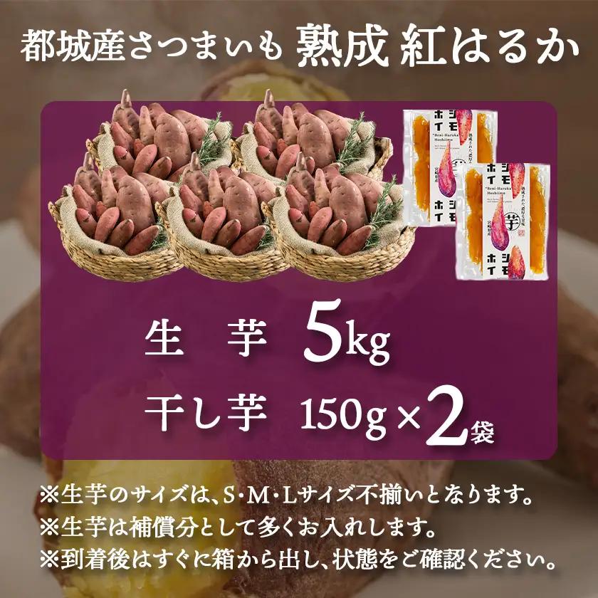 【先行受付】熟成紅はるか5kg&干し芋150g×2袋≪2026年11月より順次お届け≫_MJ-I2-003-5kg2P-11_(都城市) 都城産 熟成紅はるか さつまいも 5kg 干し芋 150g ス