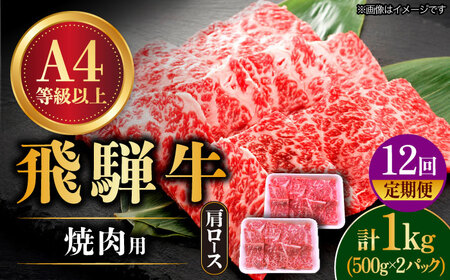 【12回定期便】飛騨牛 焼肉用 ロース・肩ロース 1kg[TAZ037] 飛騨牛 焼肉用 飛騨牛 焼肉用 飛騨牛 焼肉用 飛騨牛 焼肉用 