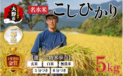 【先行予約】【令和６年産】越前大野産 一等米 帰山農園の棚田育ちコシヒカリ (無洗米) 5kg × 1袋