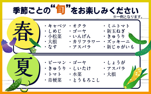E-72 【６ヶ月お届け】野菜 旬のおまかせ野菜BOX 8~10品目 | ふるさと納税 野菜 定期便 定期 やさい 野菜セット 詰め合わせ 旬 新鮮 産地直送 大容量 ふるさと 佐賀県 鹿島市 安全安