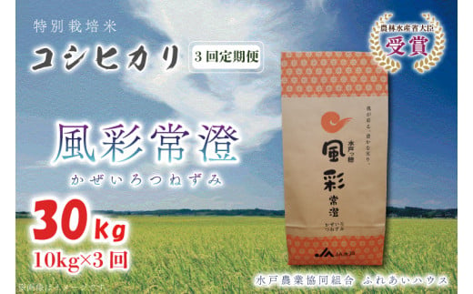 【3ヶ月定期便】【令和6年産】特別栽培米コシヒカリ「風彩常澄」計30kg（10kg×3回） 【最高 ランク 特A コシヒカリ 水戸市 オリジナル ブランド 農林水産省大臣賞受賞 減農薬 減化学肥料 栽培 ふっくら 美味しい お米 ご飯】 （FC-106）