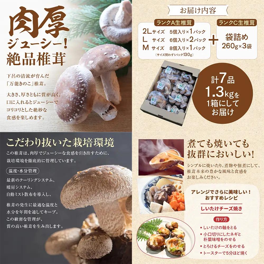 【ふるなびWEEK対象】菌床生椎茸  詰め合せセット（4パック＋3袋）7品  計1.3kg 【119-1fw】
