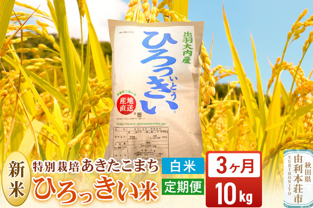 《令和8年産 新米受付》《定期便3ヶ月》【白米】あきたこまち 10kg 秋田県産 特別栽培米 ひろっきい米 [新米 あきたこまち 米 白米 精米 お米 おこめ ブランド米 食卓 おにぎり 秋田県産 秋田県 由利本荘市]