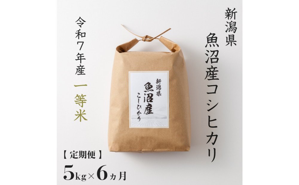 《 令和7年産  》 定期便 5kg × 6ヶ月 魚沼産コシヒカリ 一等米
