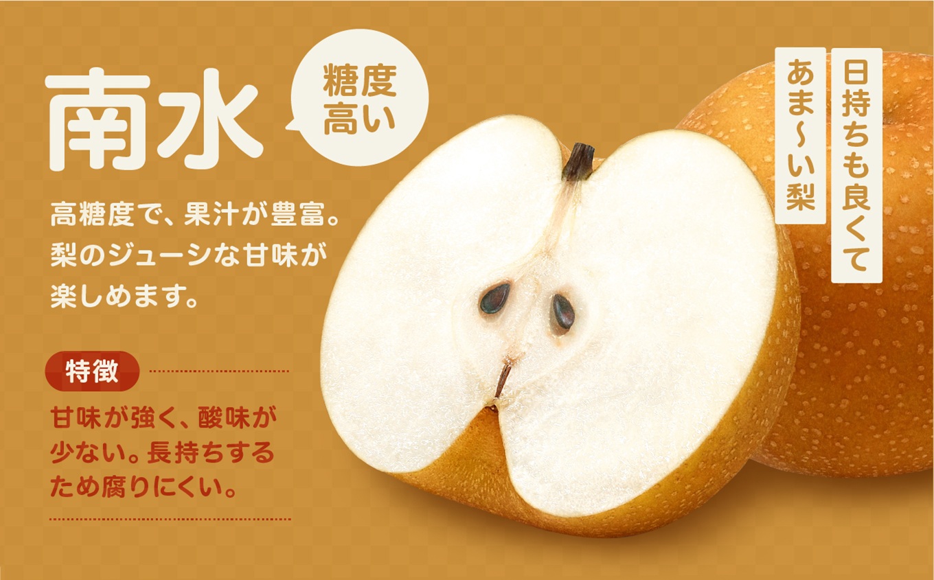 【9月上旬から発送予定】南信州生まれのジューシーで甘い梨「南水梨」 約5kg 12～14玉 糖度14.0以上 | 果物 くだもの フルーツ 南水梨 梨 なし ナシ 新鮮 長野県 信州 南信州 飯田市