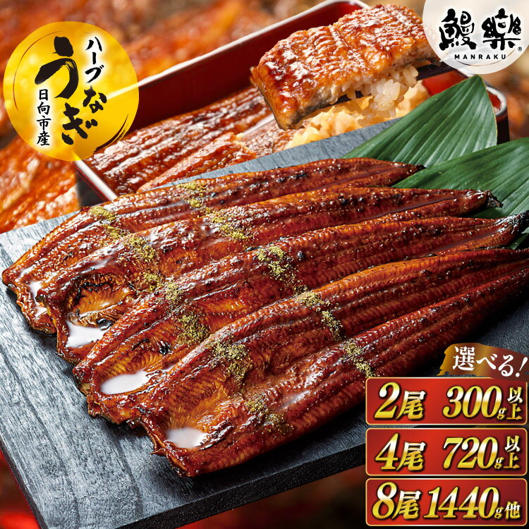 【ふるさと納税】 レビューキャンペーン うなぎ 鰻楽 宮崎県産 蒲焼 タレ山椒付き ハーブうなぎ 選べる 内容量 [鰻楽 宮崎県 日向市 452061578] 真空パック 国産 蒲焼き 長焼き ウナギ 鰻 長蒲焼 冷凍 化粧箱入り 贈答 ハーブ