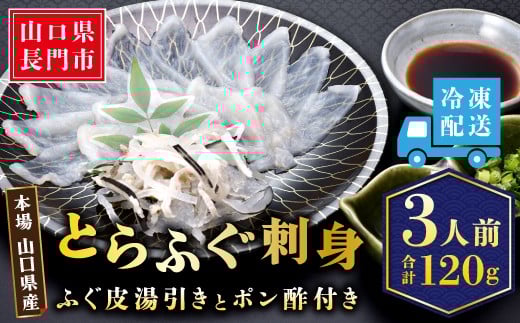 とらふぐ 刺身 3人前【ふぐ刺身 ふぐ刺し ふぐ フグ 河豚 刺身 1人前 × 3皿 小皿 小分け 海鮮 冷凍 配送日指定可能 日時指定可能】