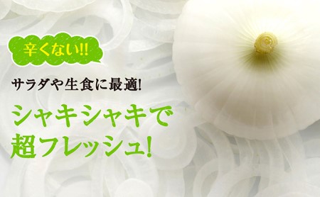 テレビで紹介されました 浜松篠原産新白玉ねぎプレミアムホワイト5キロ テレビで紹介されました