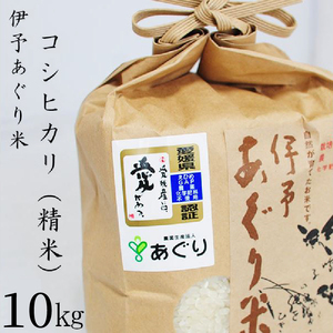 米 精米 10kg 伊予あぐり米「コシヒカリ」 令和7年産 米 農薬・化学肥料不使用 米 精米 令和7年産 米 お米 こめ 農薬・化学肥料不使用 こだわりのお米 愛媛県 松前町 松前 まさき 愛媛 えひめ おこめ 有限会社あぐり 愛媛県産米 松前町産米 美味しいお米 おにぎり  お米 贈答 贈り物 愛媛県 松前町 有限会社あぐり 【AGR0050_10R7】　