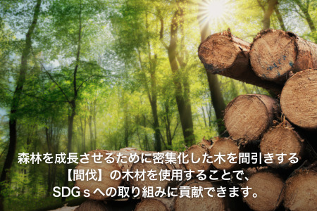 森からうまれたリルモスのピンバッジ 間伐材使用 リルモス(プール)＆モスバーガー ver.【モスバーガー】